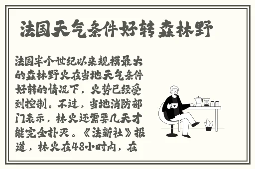 抓住妲己的两只大兔子主题曲